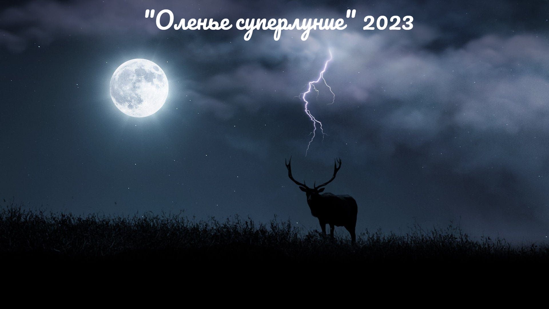 Луна сегодня 2023 год. Большая Луна. Полнолуние. Оленья Луна. Оленья Луна в Москве.